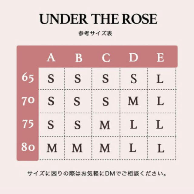 KID BLUE(キッドブルー)のunder the rose Vネックエレガントレース谷間ブラ レディースの下着/アンダーウェア(ブラ&ショーツセット)の商品写真