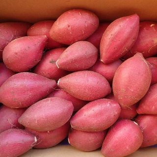 丸ＳＭサイズ熟成シルクスイート5kg千葉県産さつまいも(野菜)