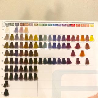 フィヨーレ カラー剤 140本 新品未使用