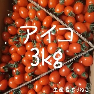 アイコ3kg ミニトマト (野菜)