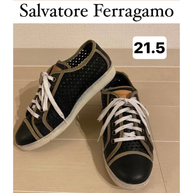 Salvatore Ferragamo(サルヴァトーレフェラガモ)のフェラガモ　スニーカー　レディース　レザー　21.5 履きやすい レディースの靴/シューズ(スニーカー)の商品写真