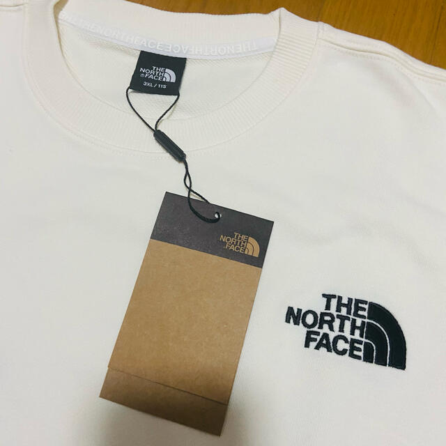 THE NORTH FACE(ザノースフェイス)のノースフェイス　エッセンシャル　スウェット　ライトグリーン　ピスタチオグリーン メンズのトップス(スウェット)の商品写真