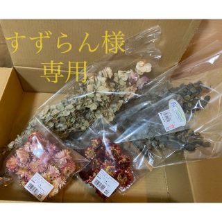 ドライフラワー　まとめ売り　セット(ドライフラワー)