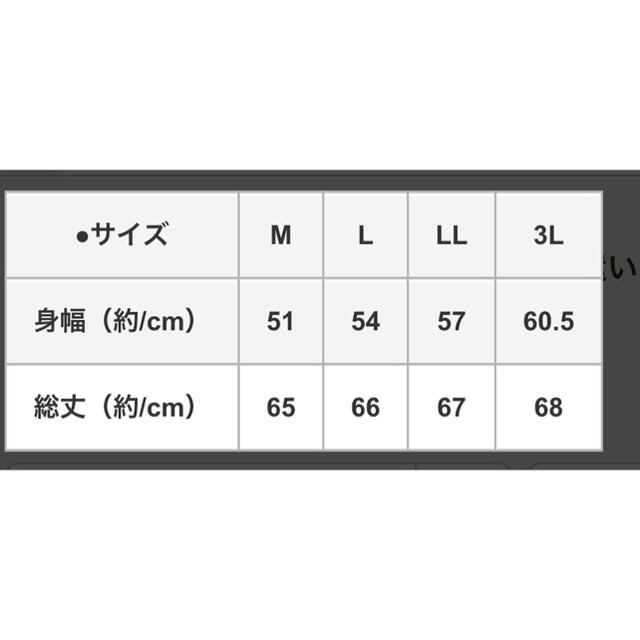 FELISSIMO(フェリシモ)の新品未使用【高山都さんコラボ】MEDE19F　レース遣いコットンブラウス レディースのトップス(シャツ/ブラウス(長袖/七分))の商品写真