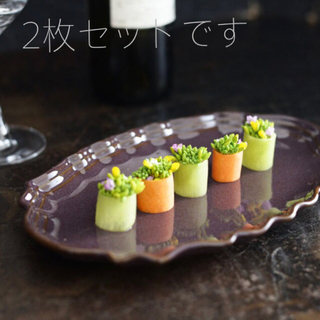 サラグレース(Sarah Grace)の日本製 廃盤 フォスキーア 皿 オーバル 2枚 サラグレース オルネドフォイユ(食器)