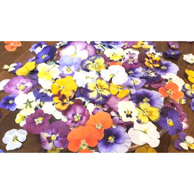 ② 銀の紫陽花が作った彩りビオラのドライフラワー山盛り70冠‼️ ハンドメイドのフラワー/ガーデン(ドライフラワー)の商品写真