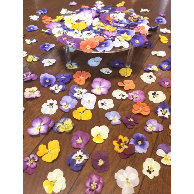 ② 銀の紫陽花が作った彩りビオラのドライフラワー山盛り70冠‼️ ハンドメイドのフラワー/ガーデン(ドライフラワー)の商品写真