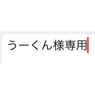 オリエント(ORIENT)のORIENT モナーク 未使用(腕時計(アナログ))