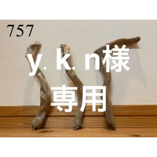 流木【757.802】(各種パーツ)