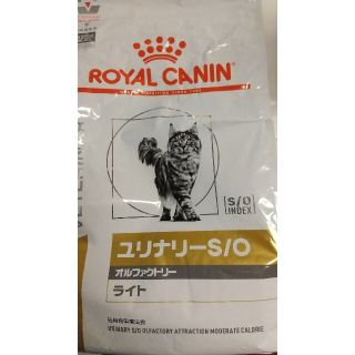 ロイヤルカナン(ROYAL CANIN)のいっけ様(猫)