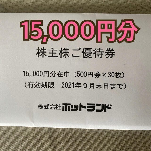 ホットランド株主優待 優待券 ランキング第1位 4940円引き