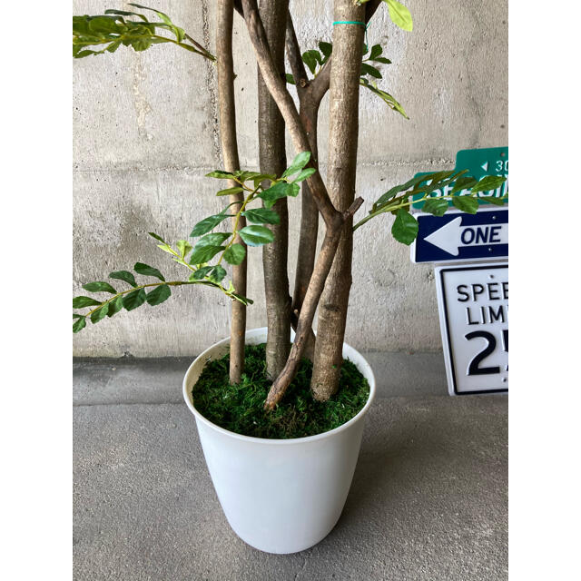 光触媒 人工観葉植物 ウォールグリーン 造花 インテリア トネリコ175 光触媒 人工観葉植物 ウォールグリーン 造花 インテリア トネリコ175