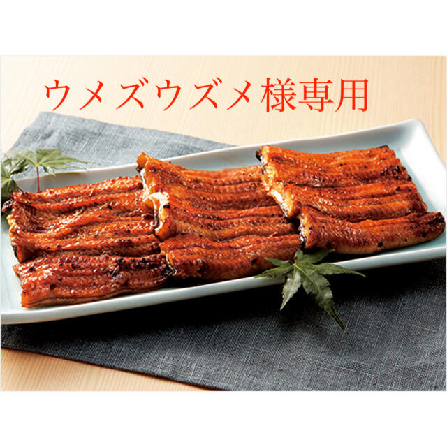 UHA味覚糖 忍者めし鉄の鎧マスカット味50袋 食品 UHA味覚糖 忍者めし鉄の鎧マスカット味50袋 食品