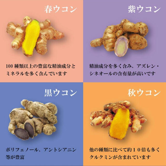 ウコン うこん サプリ 沖縄県産 4種のウコン粒  錠剤(150粒) 食品/飲料/酒の健康食品(その他)の商品写真