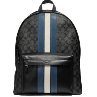 コーチ(COACH)の【大幅値下げ】コーチ正規品リュックバッグ F26066 バックパック(バッグパック/リュック)