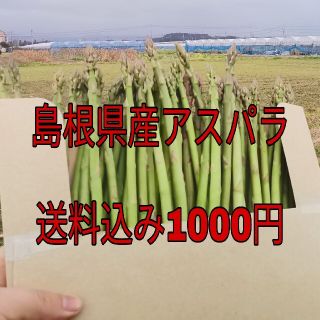 春限定　島根県産　アスパラガス　訳あり　M〜2S  400g ネコポス(野菜)