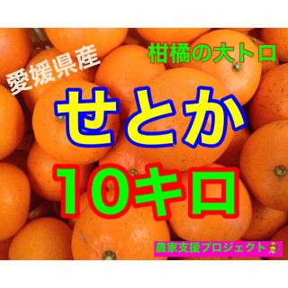 なおきち様専用　せとか10キロ(フルーツ)