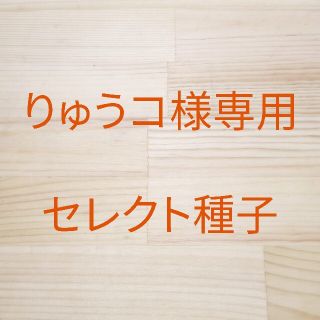 りゅうコ様専用　セレクト種子　2袋(野菜)