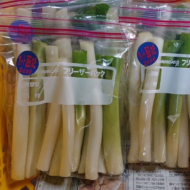 ✳️カット白ネギ✳️富山県産 西田白ネギ(カット) Ｂ品 食品/飲料/酒の食品(野菜)の商品写真