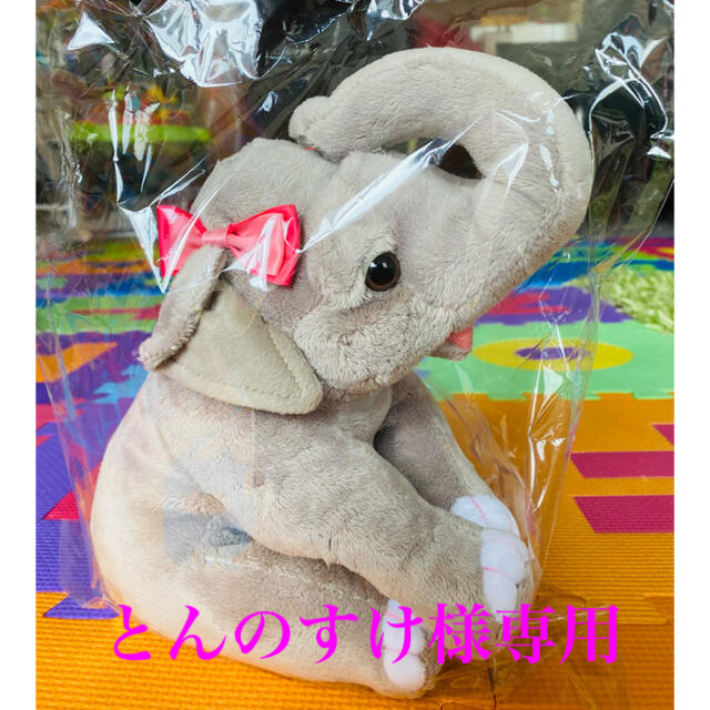 専用【未開封】市原ぞうの国 ぬいぐるみ もも夏 ゾウ | フリマアプリ ラクマ