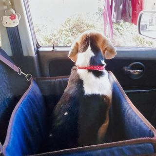 アイリスオーヤマ(アイリスオーヤマ)のアイリスオーヤマ 犬用カー用品 ドライブシート ドライブボックス ドッグシート(犬)