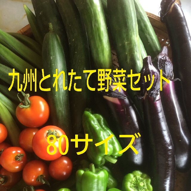 ３月21日発送❗❗　野菜詰め合わせ 食品/飲料/酒の食品(野菜)の商品写真