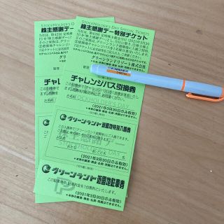 グリーンランド　株主感謝デー特別チケット　2枚(遊園地/テーマパーク)