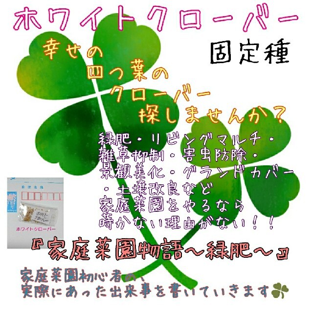 ホワイトクローバー フィア 緑肥 雑草抑制 害虫防除 野菜の種 景観美化の通販 By アルカ S Shop ラクマ ホワイトクローバー フィア 緑肥 雑草抑制 害虫防除 野菜の種 景観美化の通販 By アルカ S Shop ラクマ