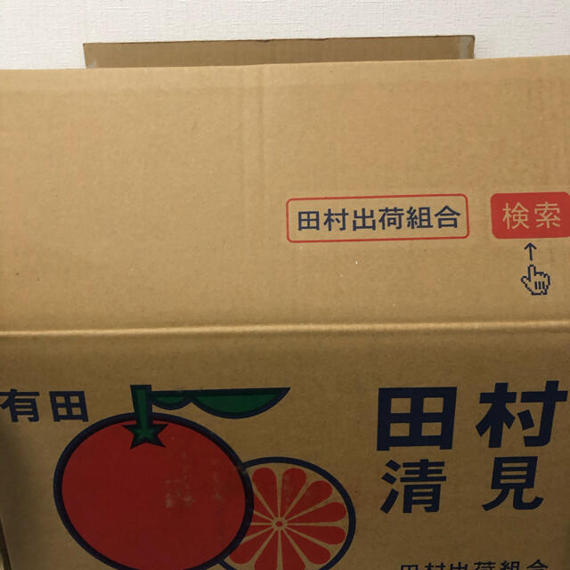 和歌山産の田村清見オレンジ(10キロ) 食品/飲料/酒の食品(フルーツ)の商品写真