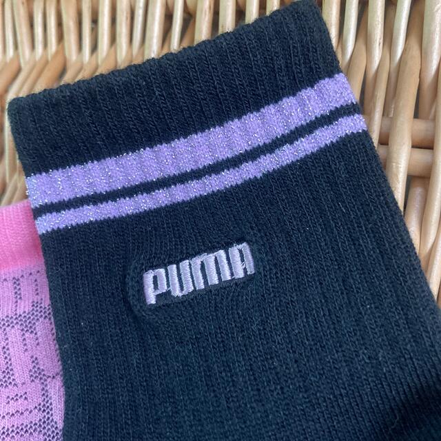 PUMA(プーマ)のPUMA プーマ  婦人靴下 レディースソックス 3足セット ピンク レディースのレッグウェア(ソックス)の商品写真