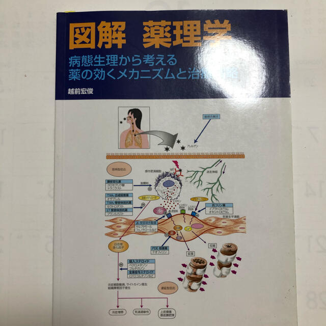 図解薬理学 病態生理から考える薬の効くメカニズムと治療戦略 エンタメ/ホビーの本(健康/医学)の商品写真