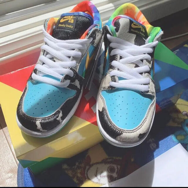 Ben & Jerry's × NIKE SB DUNK LOW 24.5cm