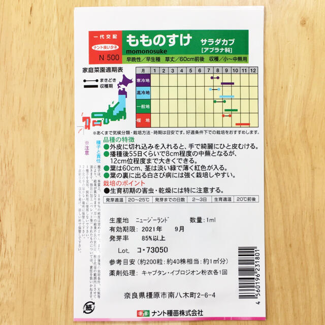 もものすけ 種 20粒 サラダカブ ナント種苗 F1 食品/飲料/酒の食品(野菜)の商品写真