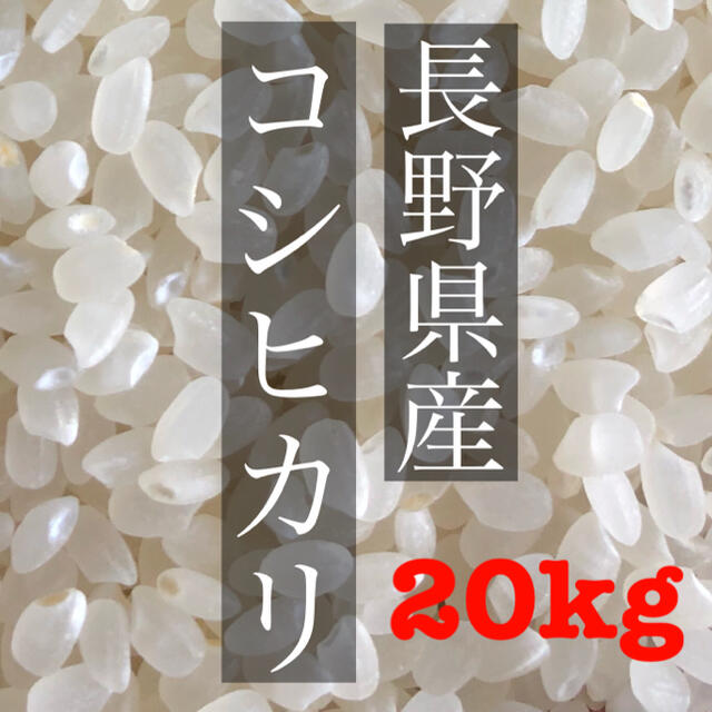 食品/飲料/酒【令和2年度】新米　白米20kg （5kg×4）長野県産　コシヒカリ　お米