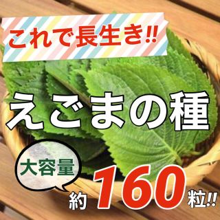 【栄養満点‼️】えごまの種 1ml(約160粒) エゴマ ハーブ 野菜 タネ 種(野菜)