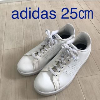 アディダス(adidas)ののぶさん専用ページ　 アディダス  25cm ホワイト (スニーカー)