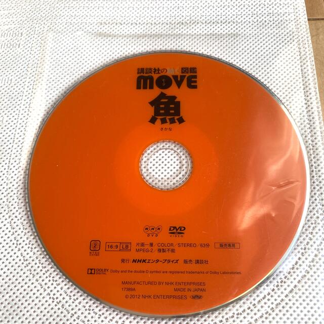 講談社(コウダンシャ)の講談社動く図鑑　魚　サカナ　DVD エンタメ/ホビーの本(絵本/児童書)の商品写真