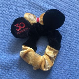 ディズニー(Disney)の❤︎TDL東京ディズニーランド❤︎30周年記念グッズ　シュシュ(ヘアゴム/シュシュ)