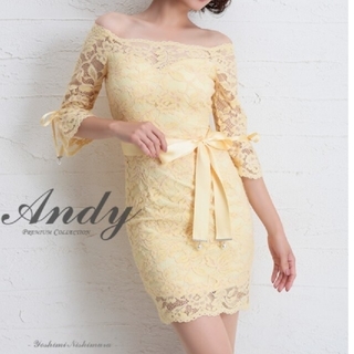 アンディ(Andy)のAndy  ドレス(ナイトドレス)