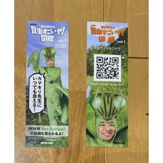 カマキリ先生　しおり　ノベルティ　2枚組　新品　NHK 昆虫すごいぜ　図鑑(男性タレント)