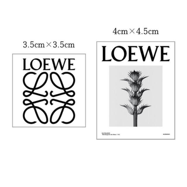 LOEWE - ロエベアートステッカー 2枚の通販 by aiko♡'s shop|ロエベ