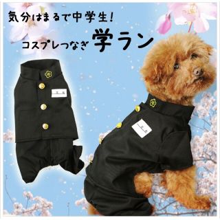 エアバルーン ブラック Mサイズ 学ラン 犬服 コスプレ 入学 卒業(犬)