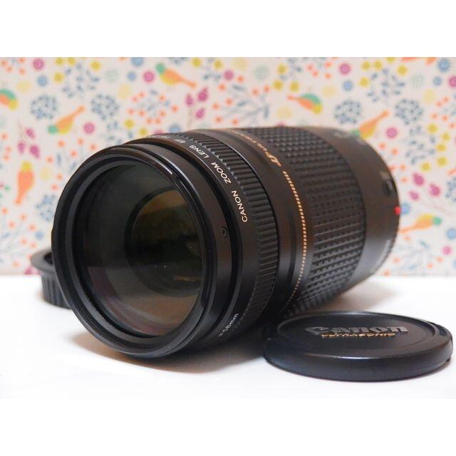 ンラインサイト Canon LENS EF 75-300mm F4-5.6 II 望遠レンズ | www