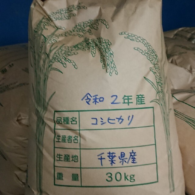令和2年　玄米　30キロ　コシヒカリ　千葉県産　新米　米/穀物