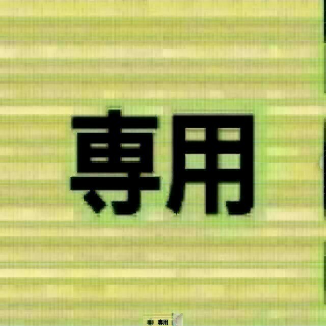 専用が通販できますシャリ石専用