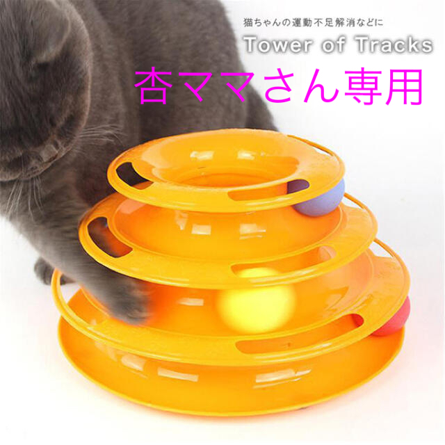 猫 おもちゃ らせん ボール 一人で遊べるおもちゃ 組立て式 知育おもちゃ  その他のペット用品(猫)の商品写真