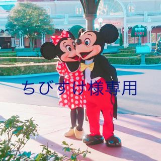 ディズニー(Disney)のちびすけ様専用(写真/ポストカード)