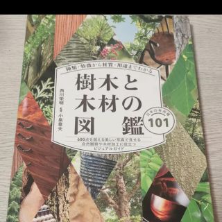 樹木と木材の図鑑 種類・特徴から材質・用途までわかる 日本の有用種101(趣味/スポーツ/実用)