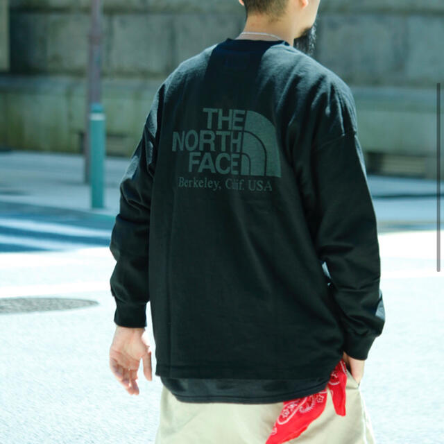 サイズ L THE NORTH FACE 8oz L/S Logo TeeTシャツ/カットソー(七分/長袖)