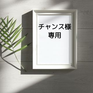 ボタニスト(BOTANIST)のボタニスト　ボタニカル　シャンプー　チャコールクレンズ　ボタニカルトリートメント(シャンプー/コンディショナーセット)